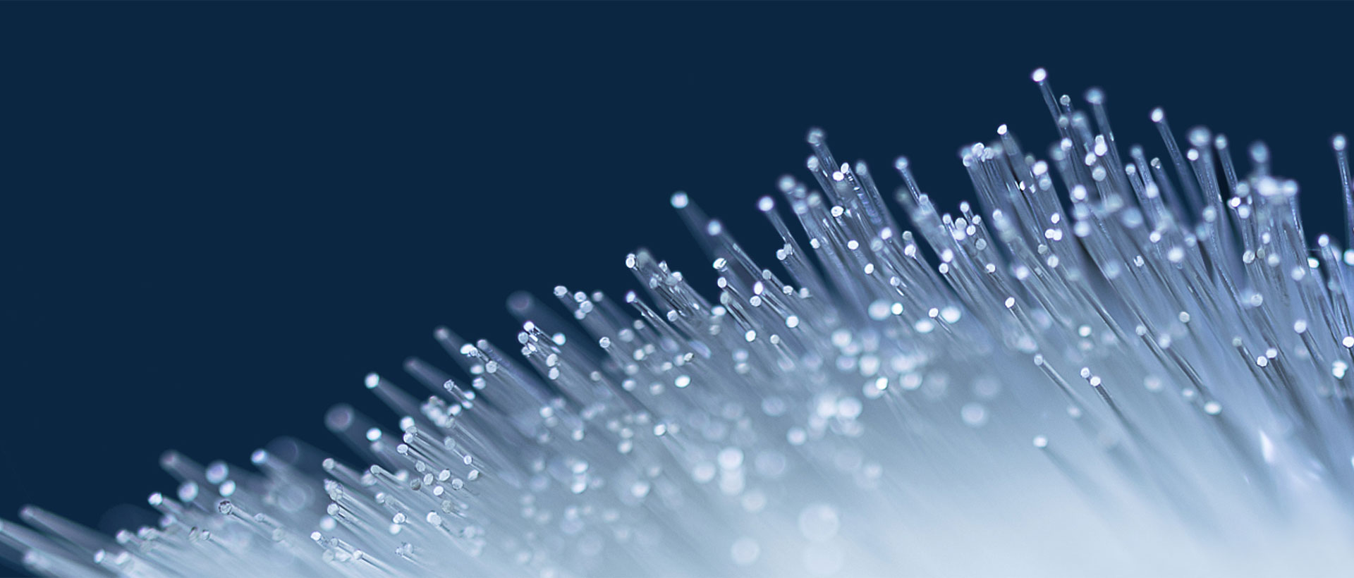 上海助騰網站設計制作開發公司推薦案例-中延集團-1