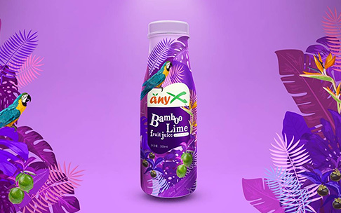 anyX 山竹果汁品牌包裝策劃