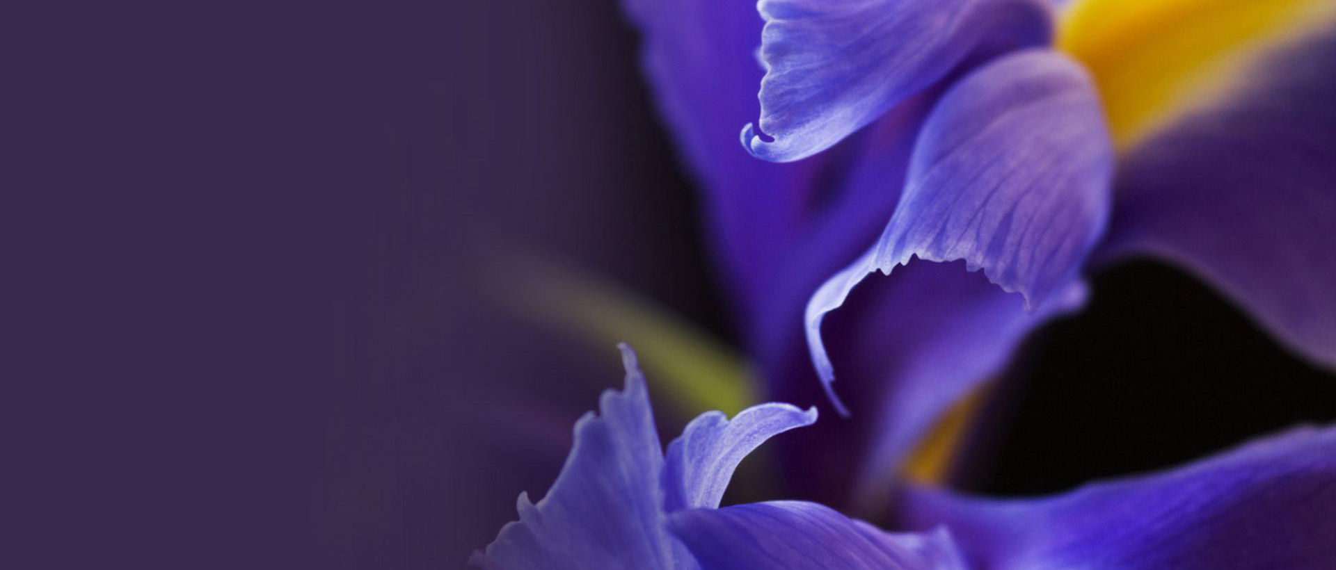 上海助騰網站設計制作開發公司推薦案例-嘉御庭-1