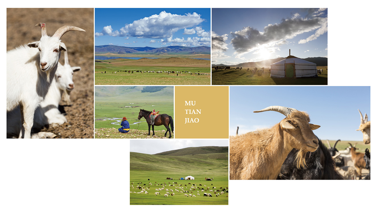 牧天驕logo設計靈感