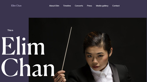 上海助騰科技-網(wǎng)站設計制作案例