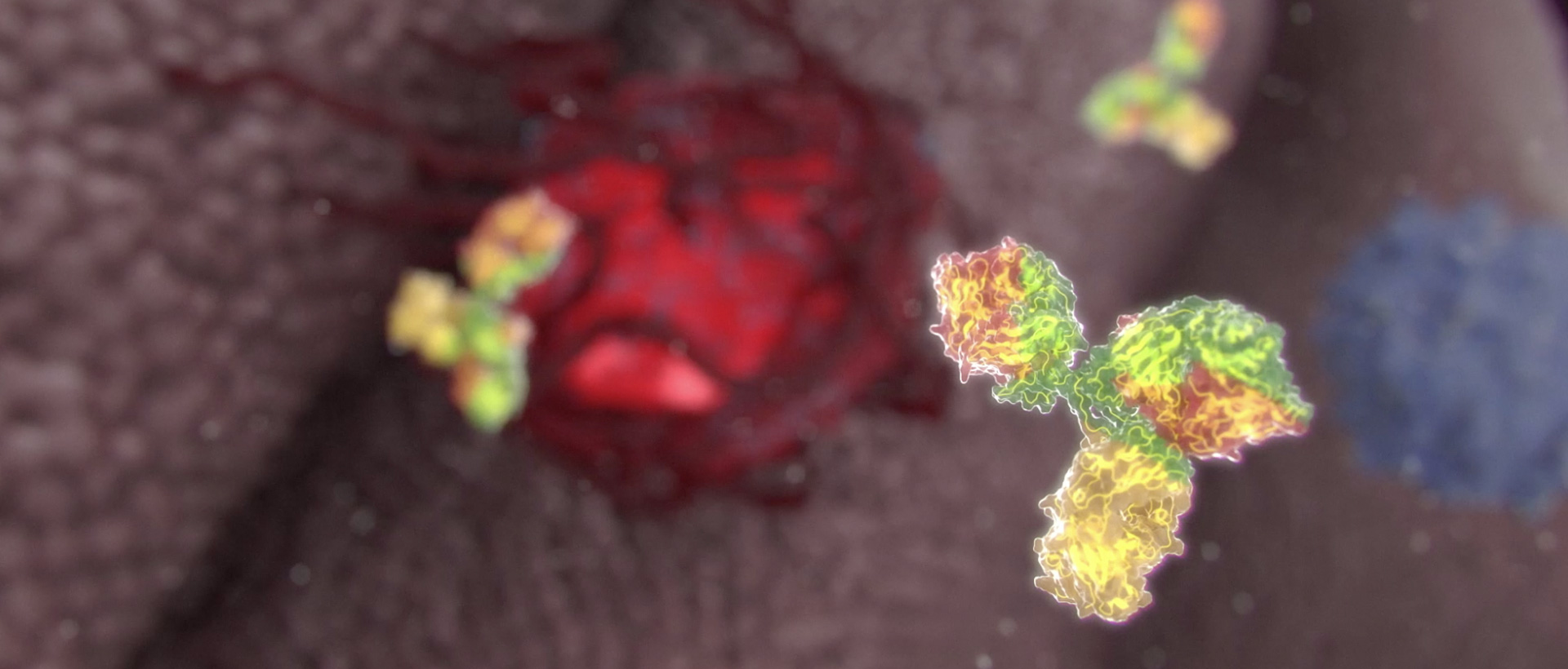 上海助騰網站設計制作開發公司推薦案例-創勝集團-1