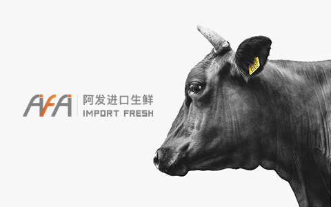 上海網(wǎng)站建設(shè)公司如何優(yōu)化網(wǎng)站以提高搜索引擎排名？