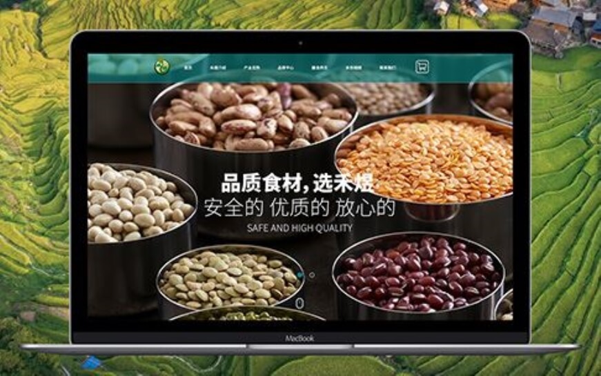 上海助騰科技-網站設計制作案例